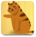 抓住猫咪
