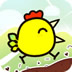 快乐小鸡跳跳跳