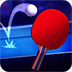 乒乓球公开赛