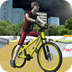 自由式自行车赛