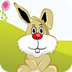 快乐的小兔子