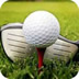 高尔夫100球