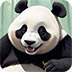 救援厨神熊猫