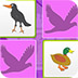 鸟类记忆卡