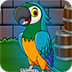 救援蓝色金刚鹦鹉
