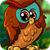 漂亮猫头鹰逃脱
