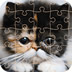 小萌猫拼图