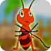 解救红蚂蚁