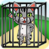 救援小灰猫