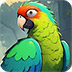 救援城市鹦鹉