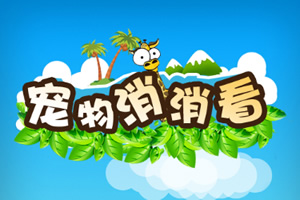 按此进入游戏萌宠消消看