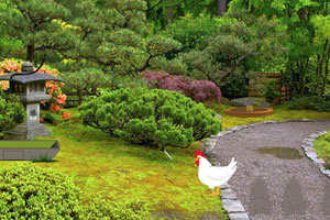 按此进入游戏逃离日本花园