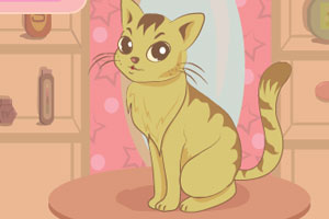 按此进入游戏照顾小猫猫
