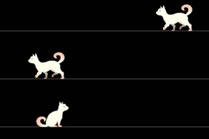 按此进入游戏猫王
