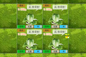按此进入游戏种白菜