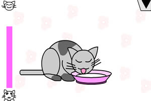 按此进入游戏有趣的小猫