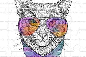 按此进入游戏个性猫拼图