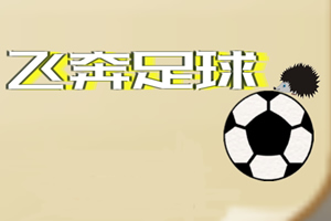 按此进入游戏飞奔足球